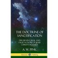 The Doctrine of Sanctification: Discerning real and false notions of Jesus Christ's Holiness (Hardcover)