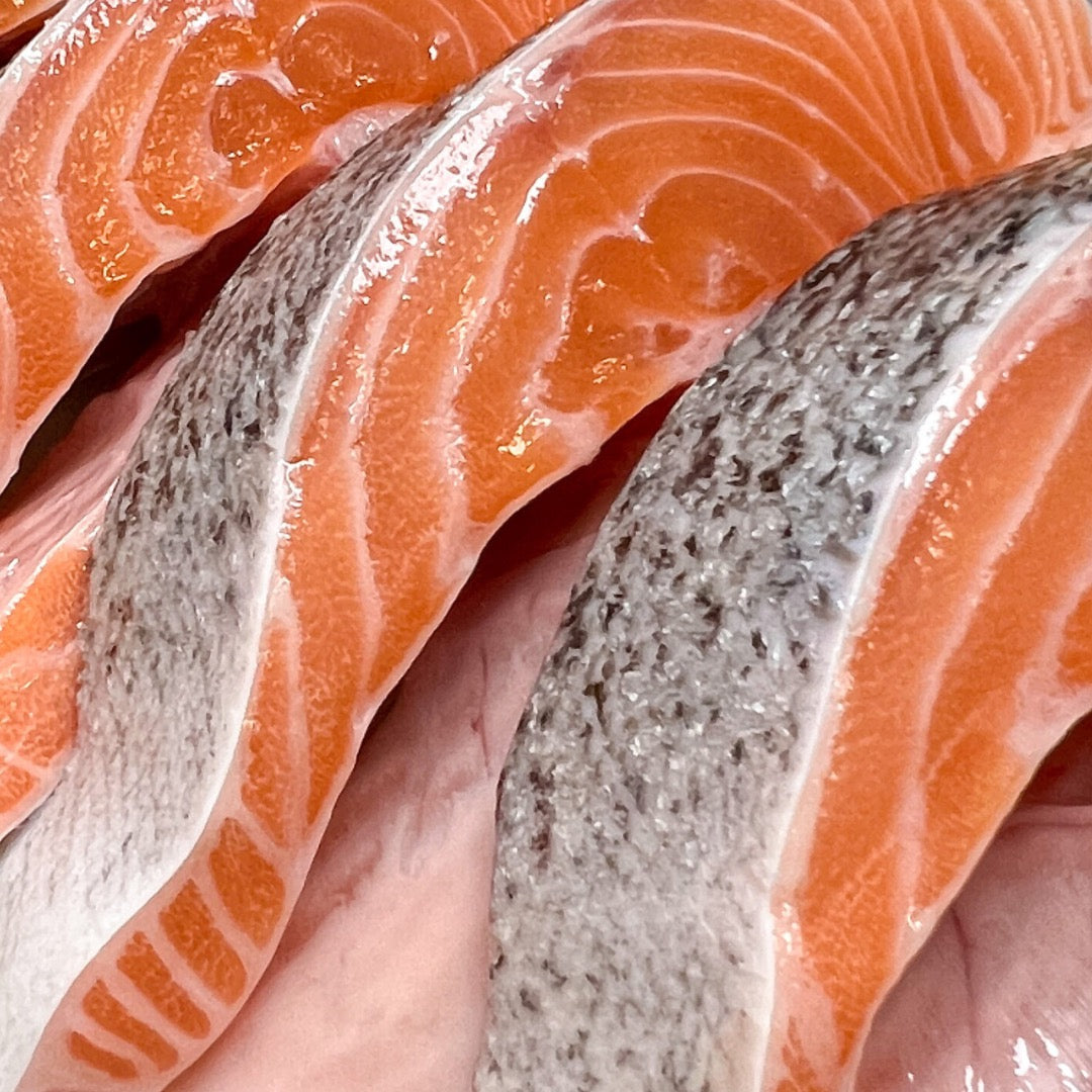 Salmon Says! – Salmon Superfood Dog Treats
