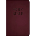 Holy Bible-Nab