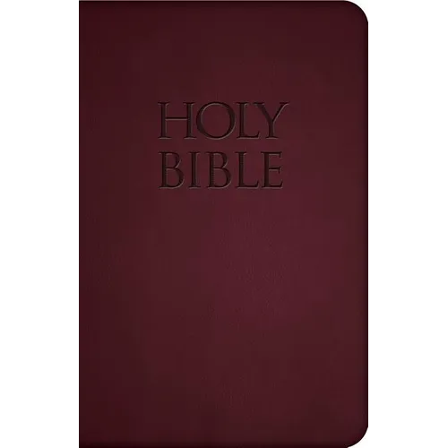 Holy Bible-Nab