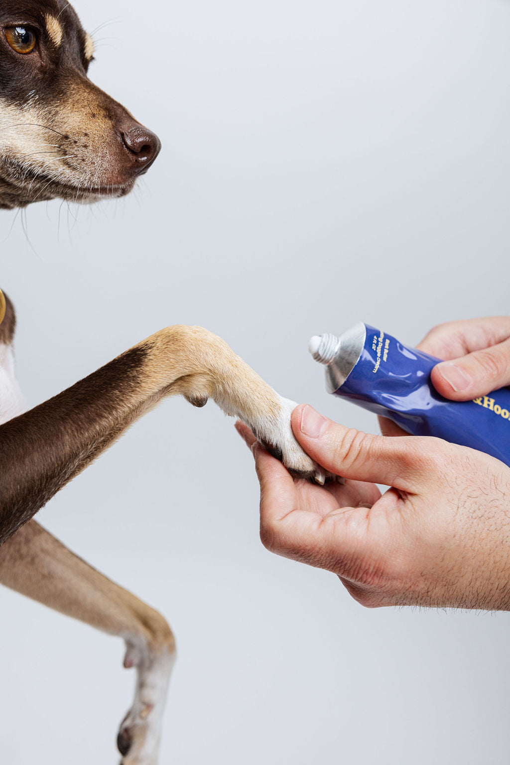 Cleo&Hooman Bark Butter – Natural Dog Paw & Skin Balm