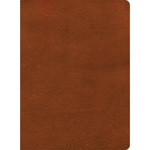 NASB Study Bible, Burnt Sienna Leathertouch