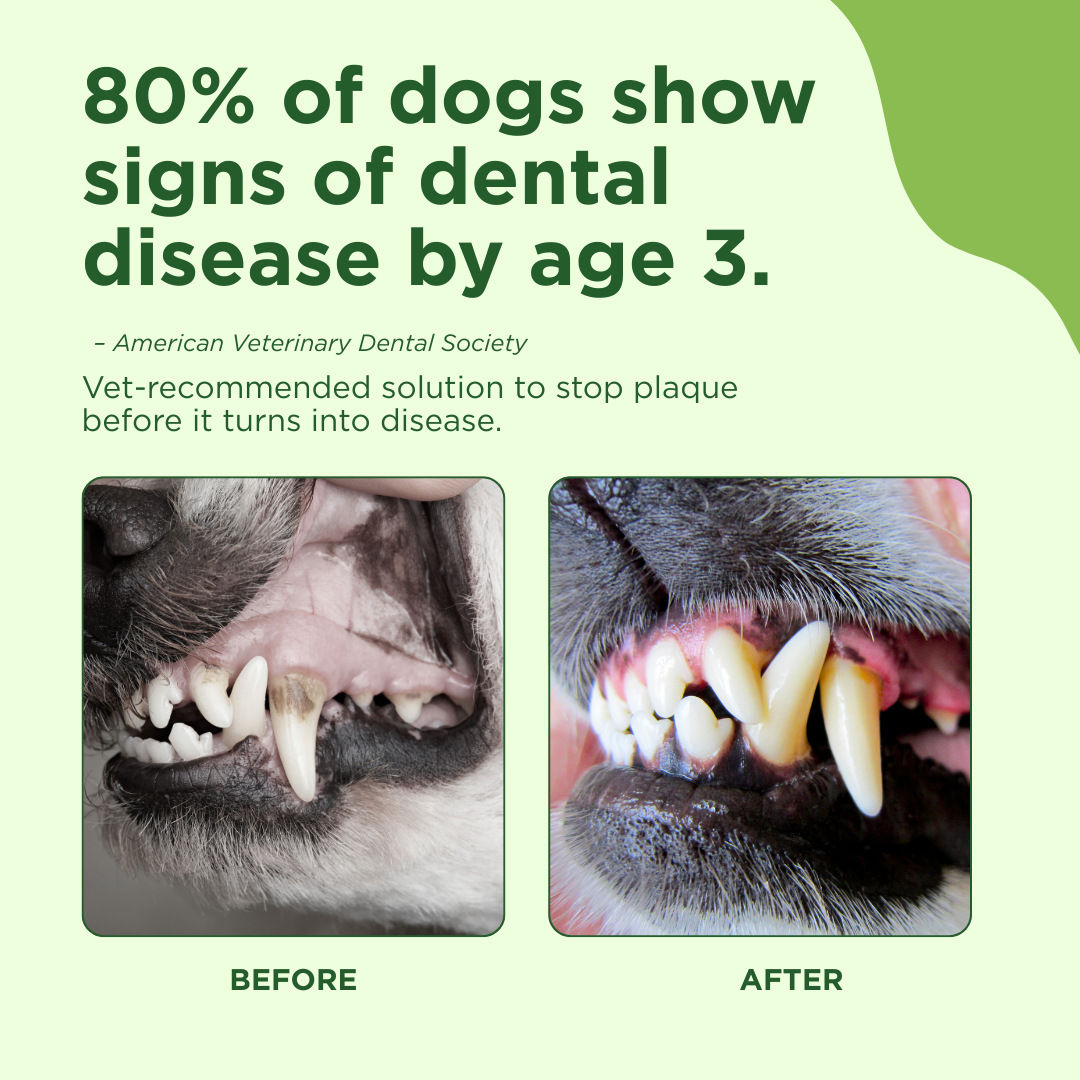 Natural Dog Oral Care Spray