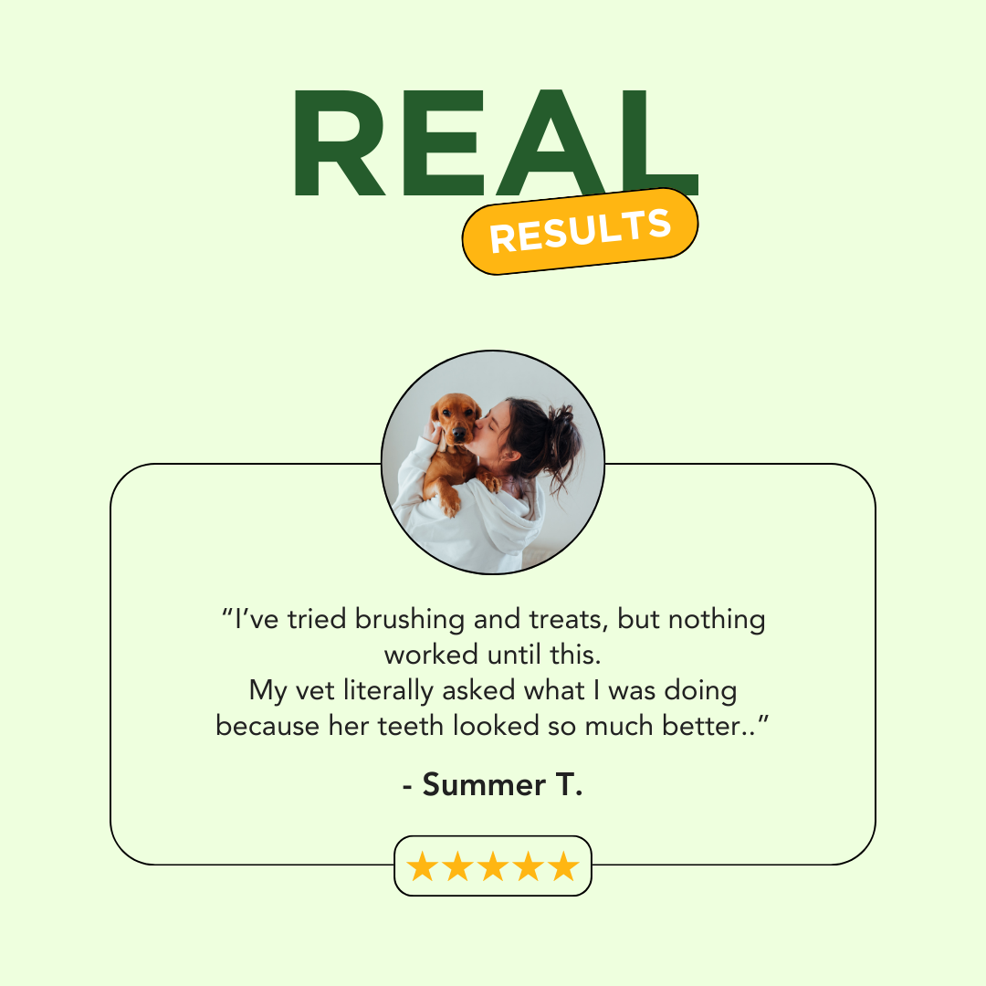 Natural Dog Oral Care Spray