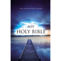Value Outreach Bible-NIV