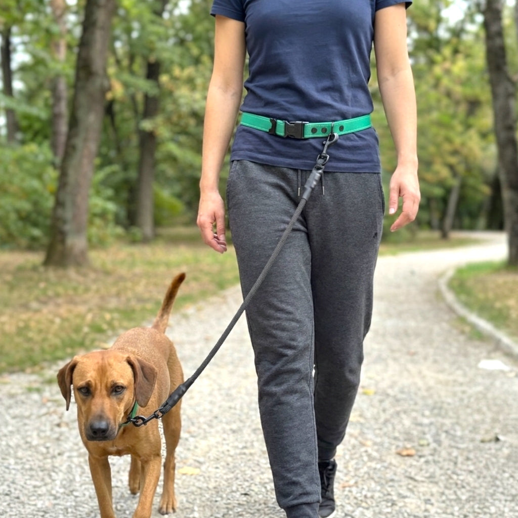 Hands-Free LED Dog Leash for Walking & Running
