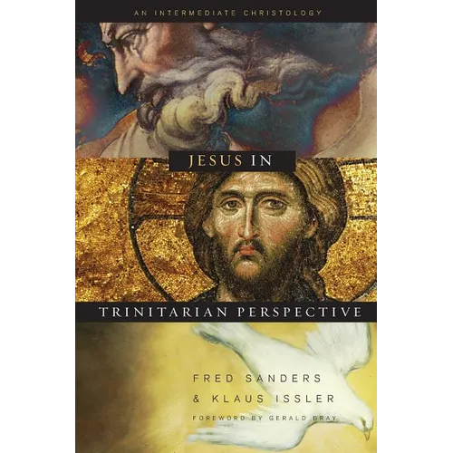 Jesus in Trinitarian Perspective: An Introductory Christology
