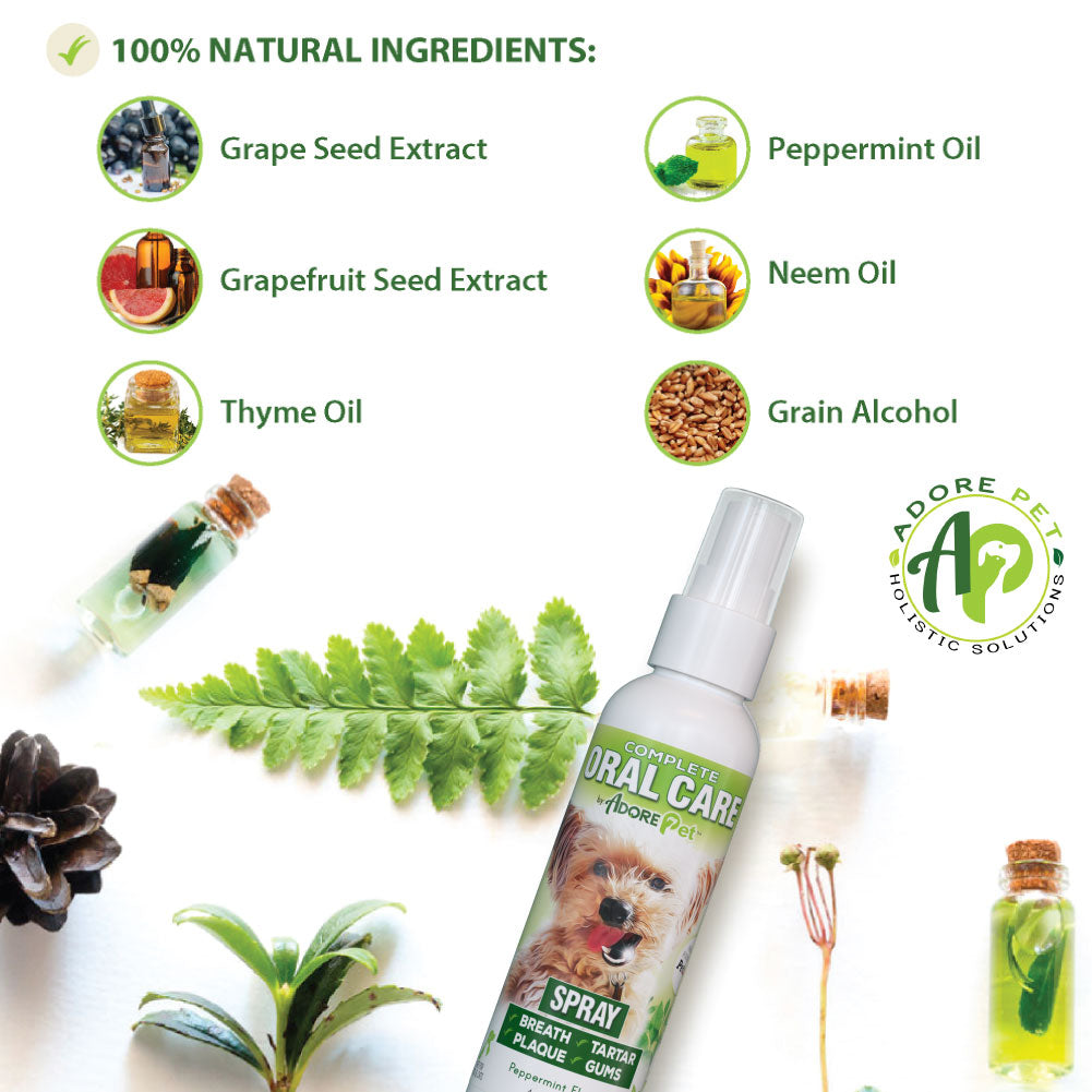 Natural Dog Oral Care Spray