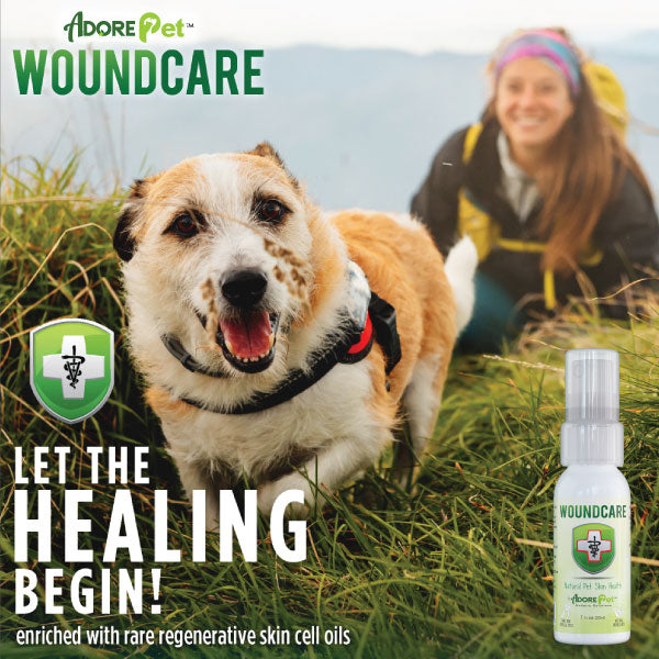 Natural Wound Care Spray for Dogs & Cats