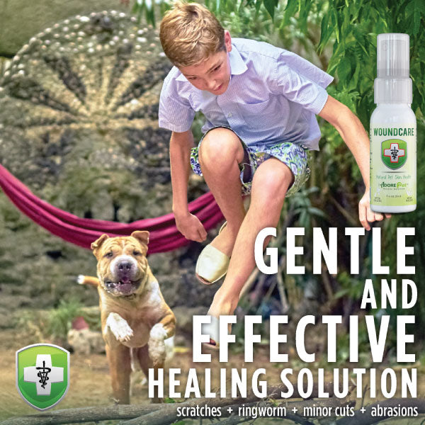 Natural Wound Care Spray for Dogs & Cats