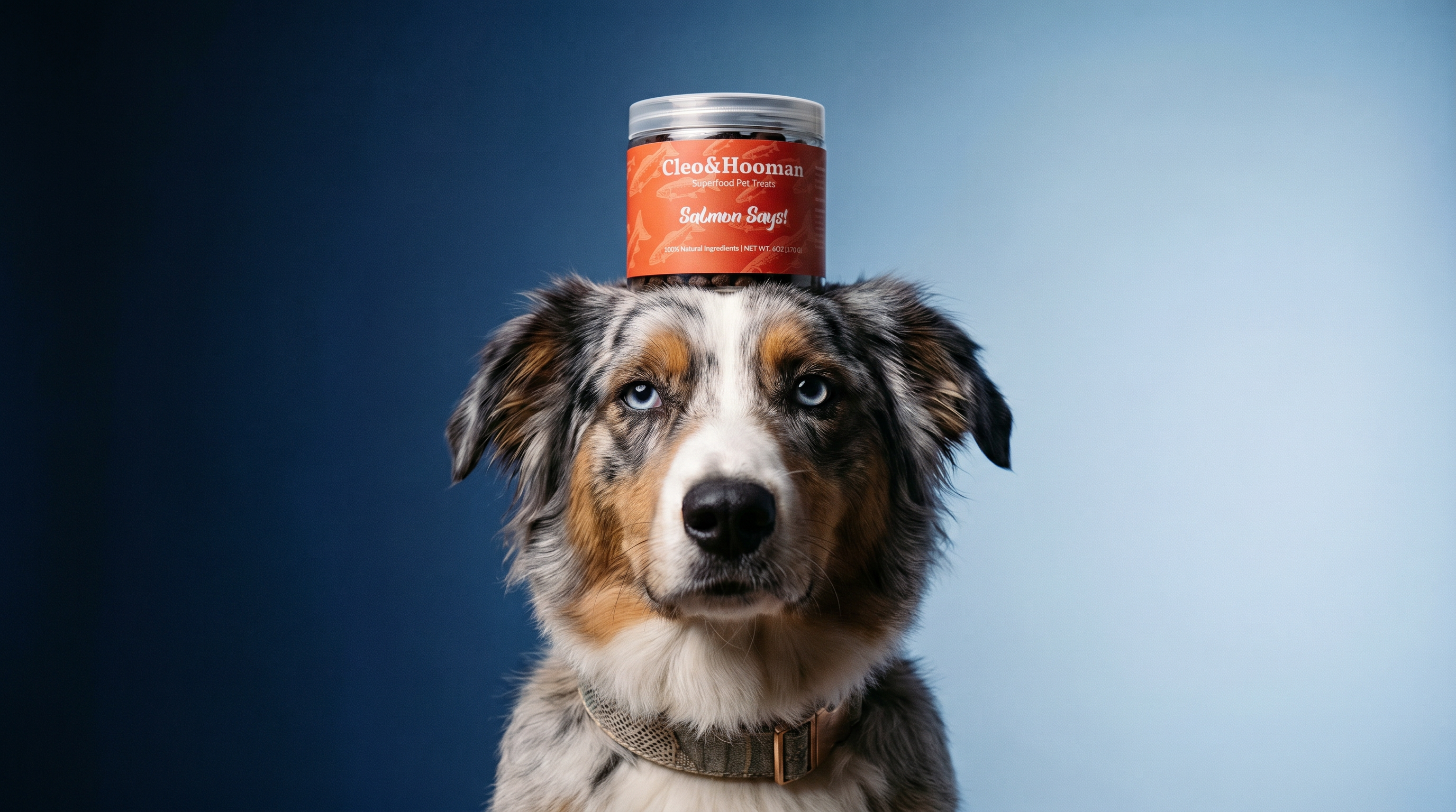 Salmon Says! – Salmon Superfood Dog Treats