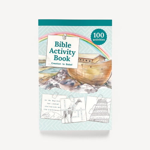 Bible Activity Book cover with Noah's Ark illustration on a light blue background