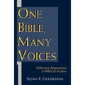 One Bible, Many Voices: Different Approaches to Biblical Studies