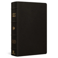 ESV Giant Print Personal Size Bible, Red Letter (Buffalo Leather, Deep Brown)