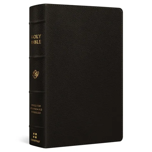ESV Giant Print Personal Size Bible, Red Letter (Buffalo Leather, Deep Brown)