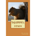 Squirrel Down
