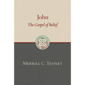 John: The Gospel of Belief: An Analytic Study of the Text