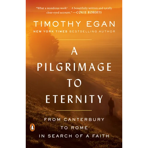 A Pilgrimage to Eternity: From Canterbury to Rome in Search of a Faith