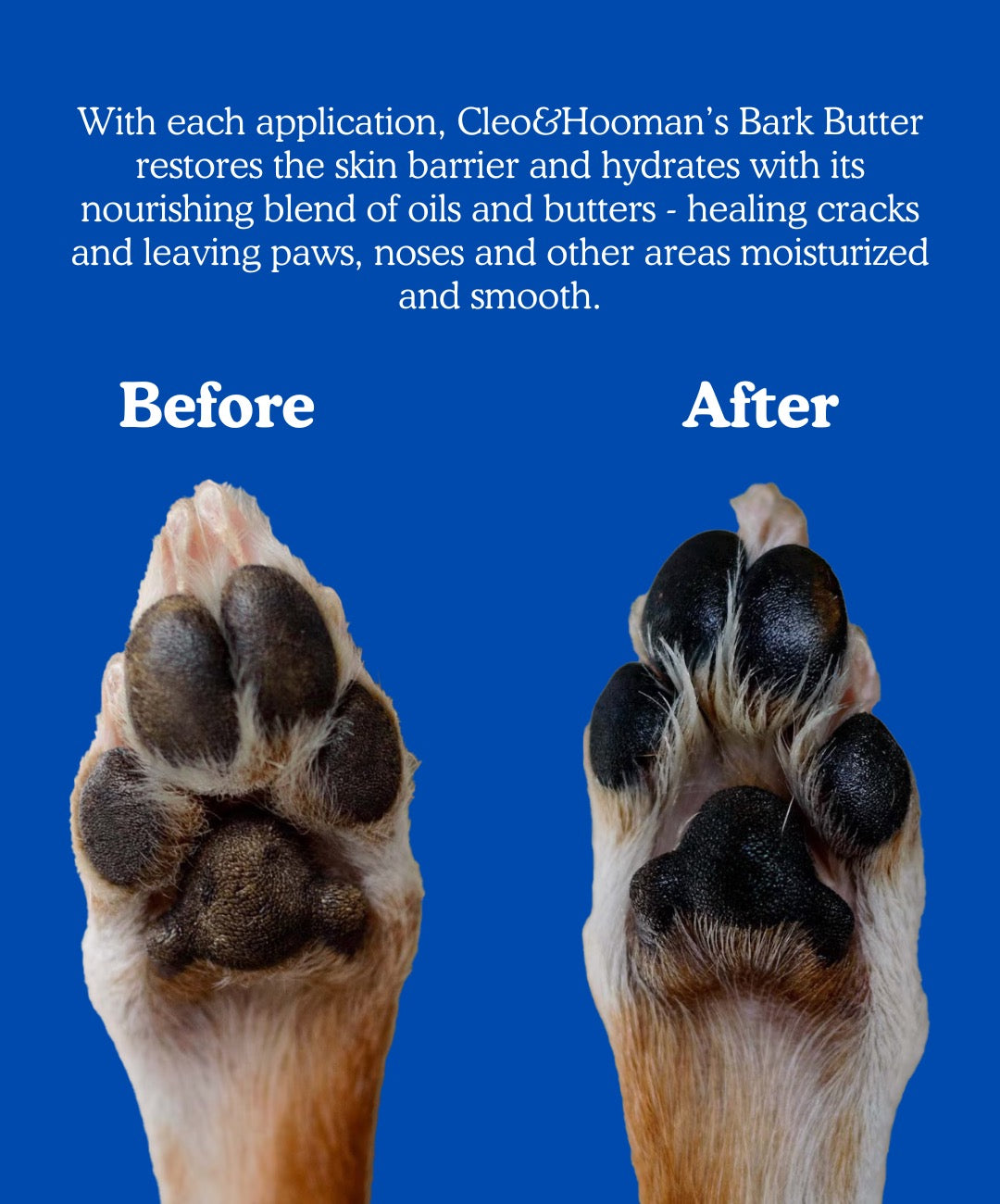 Cleo&Hooman Bark Butter – Natural Dog Paw & Skin Balm
