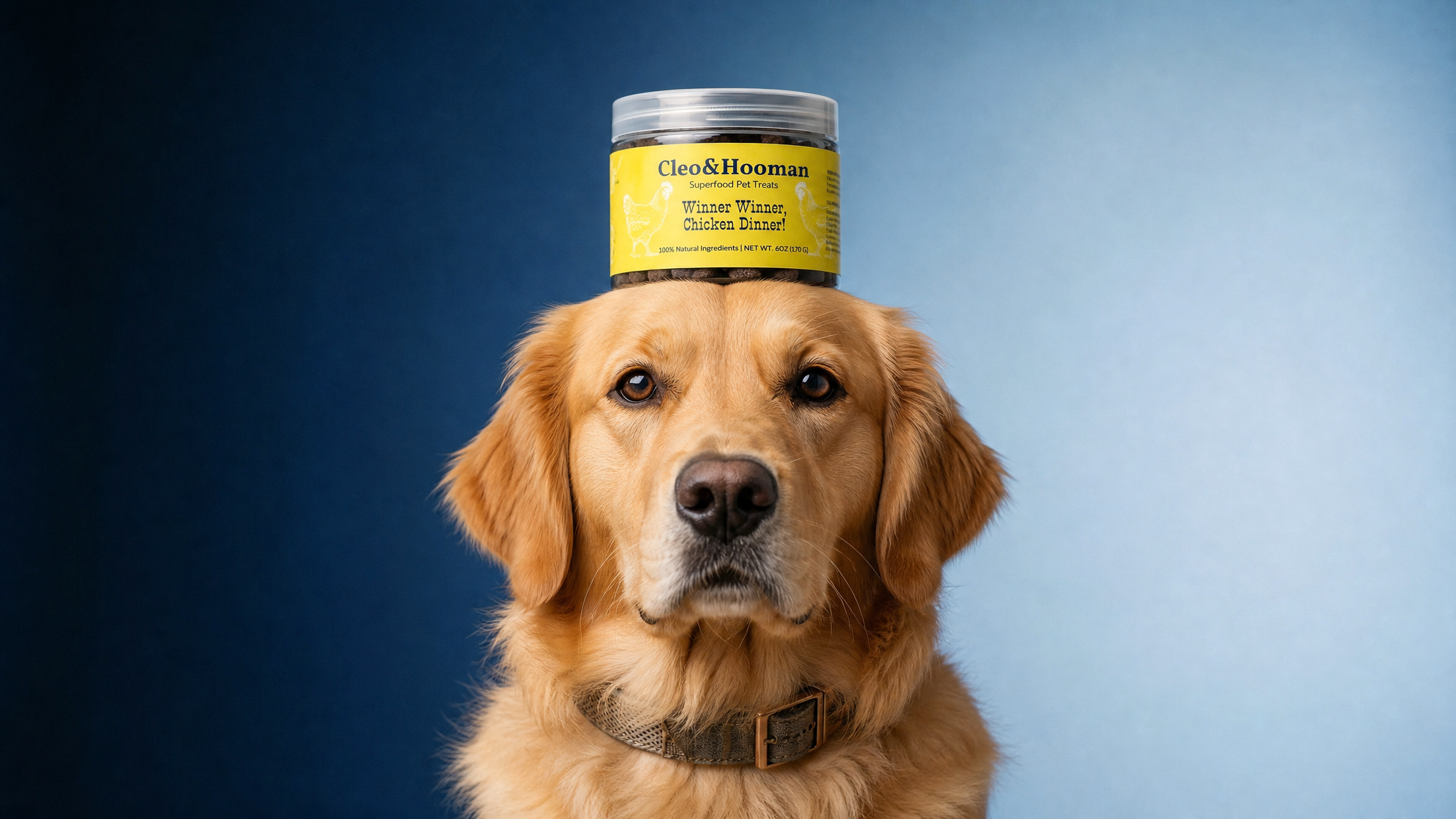 Winner, Winner, Chicken Dinner! – Chicken Superfood Dog Treats