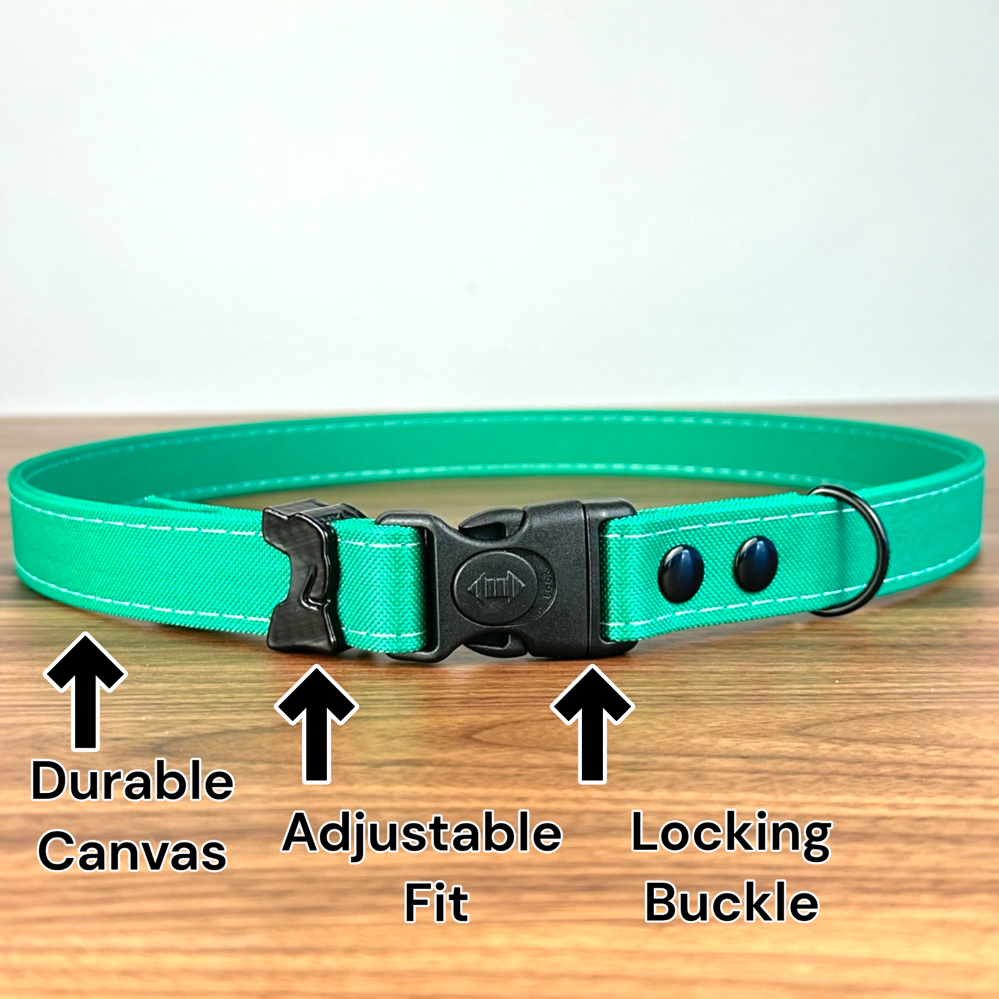 Hands-Free LED Dog Leash for Walking & Running