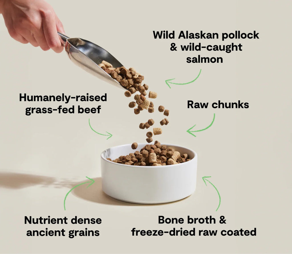 Dog food being poured into a bowl with text highlighting ingredients on a beige background