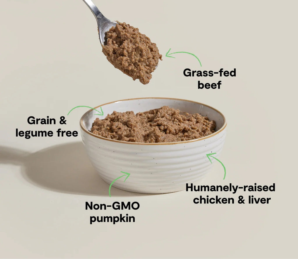 Bowl of pet food with ingredients labeled on a beige background