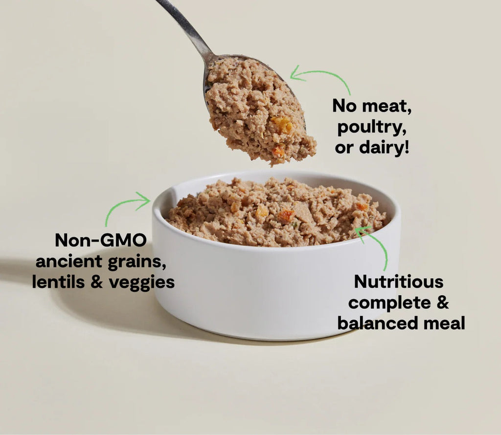 White bowl filled with pet food, spoonful above, on beige background with text about ingredients.