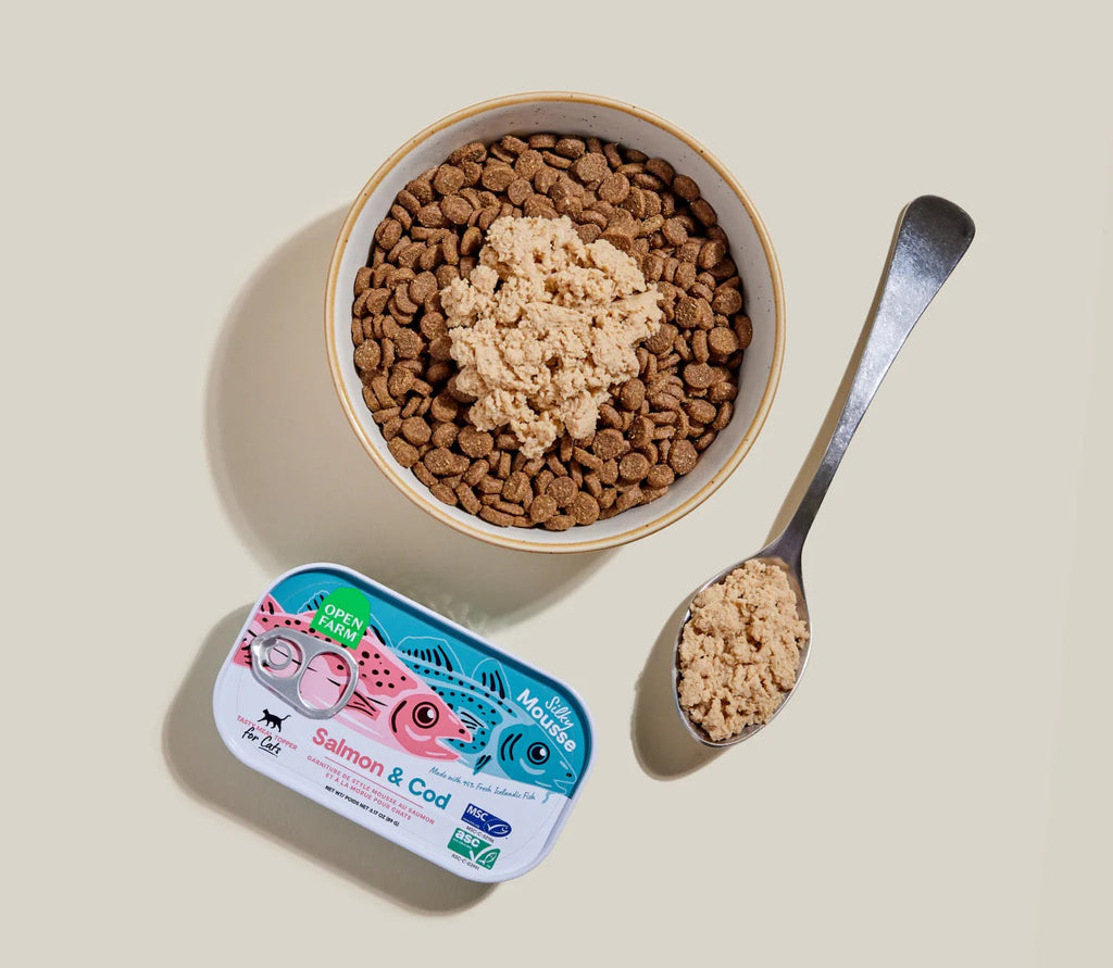 Cat food bowl with heart-shaped scoop, can of cat food, and spoon on a beige background