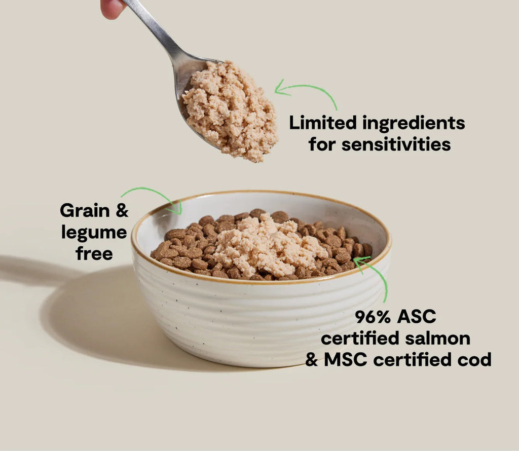 Dog food in a bowl with a spoonful above, labeled for limited ingredients and certification details.