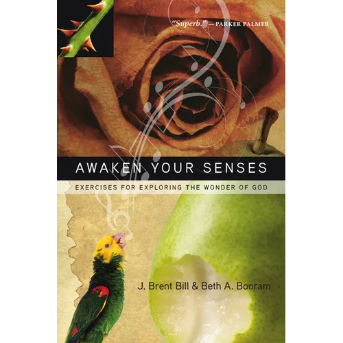 Awaken Your Senses: Exercises for Exploring the Wonder of God