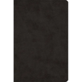 Large Print Bible-ESV