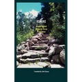 Romans: A Latin-English, Verse-by-Verse Translation