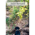 Saint Bernard The Twelve Degrees Of Humility And Pride