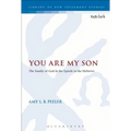 You Are My Son: The Family of God in the Epistle to the Hebrews