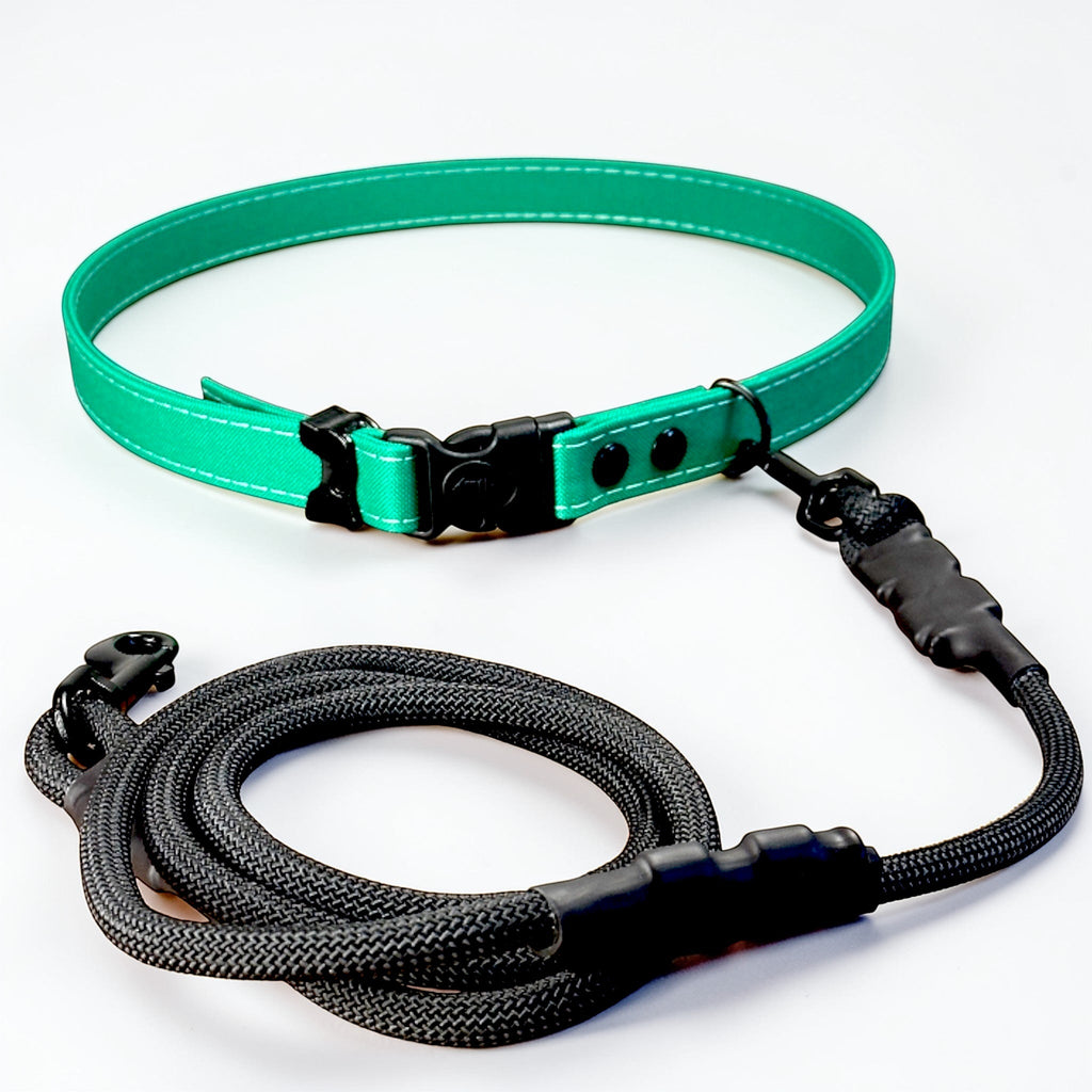 Hands-Free LED Dog Leash for Walking & Running
