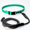 Hands-Free LED Dog Leash for Walking & Running