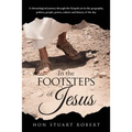 In the Footsteps of Jesus: A chronological journey through the gospels set in the geography, politics, people, power, culture and history of the day