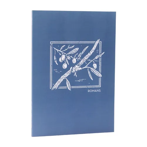Net Abide Bible Journal - Romans, Paperback, Comfort Print: Holy Bible