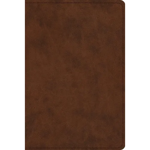 Study Bible-ESV-Personal Size