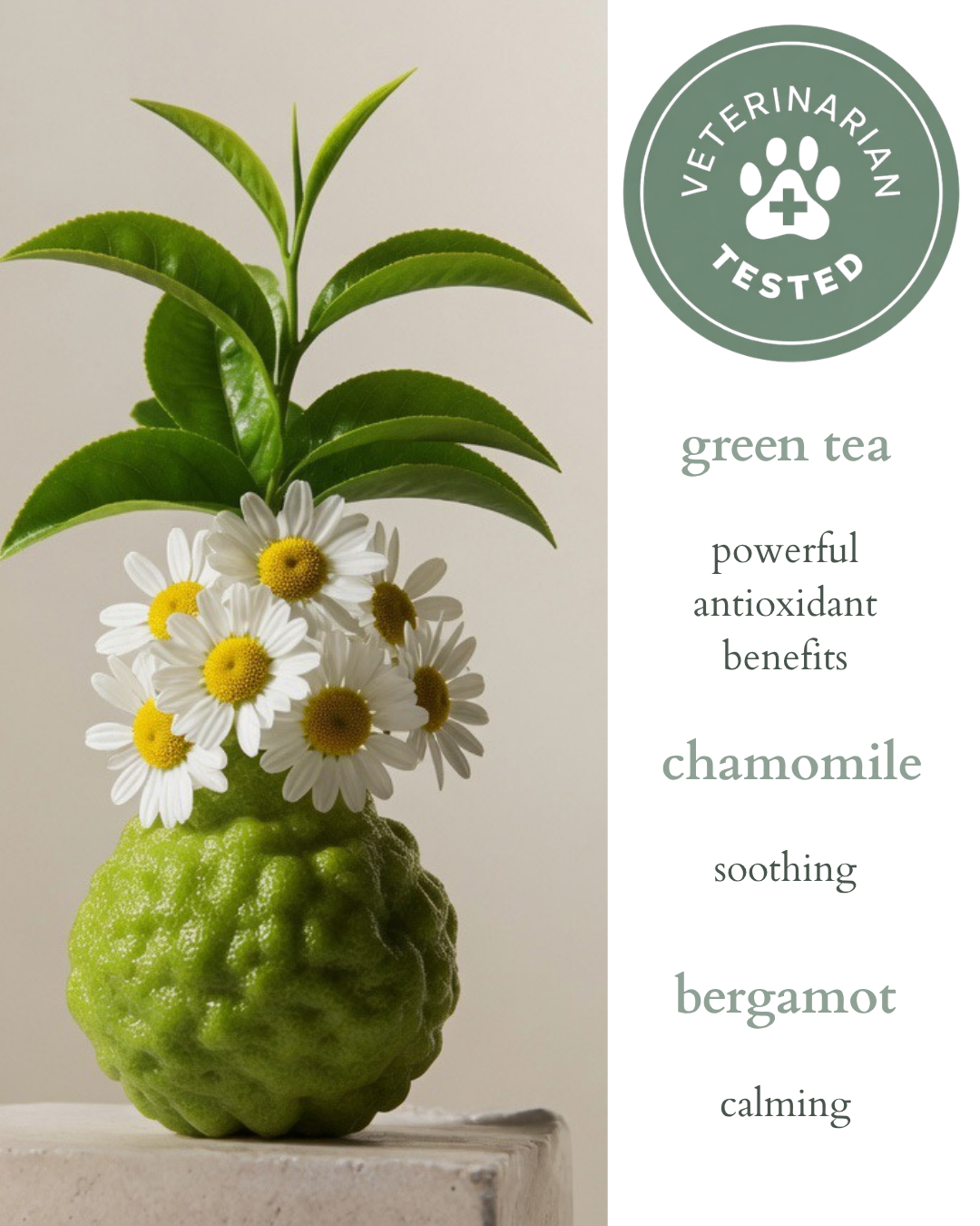 Natural Pet Coat & Freshening Spray