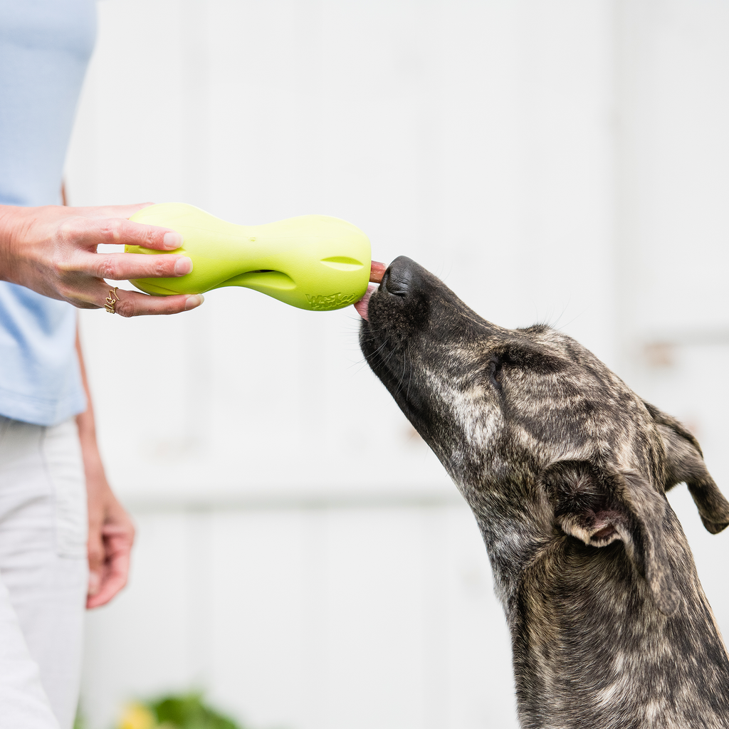 Qwizl – Tough Treat-Dispensing Dog Toy