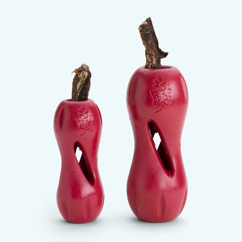 Qwizl – Tough Treat-Dispensing Dog Toy