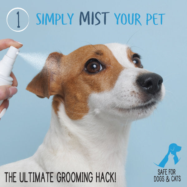 Waterless Dog Shampoo & Conditioner