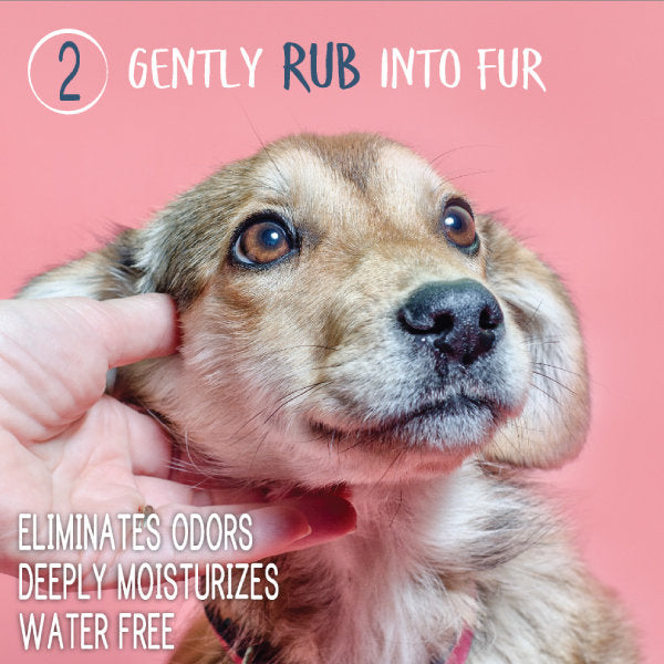 Waterless Dog Shampoo & Conditioner