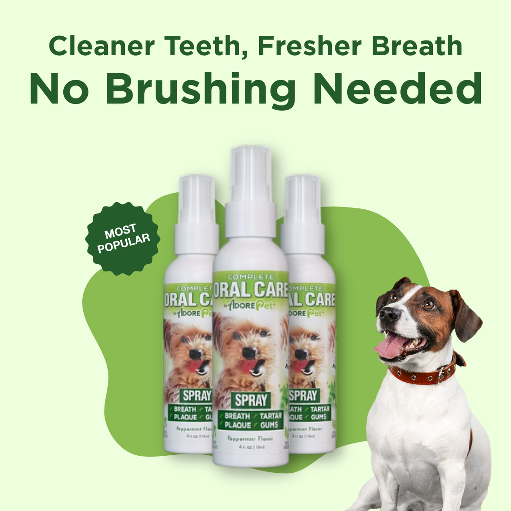 Natural Dog Oral Care Spray