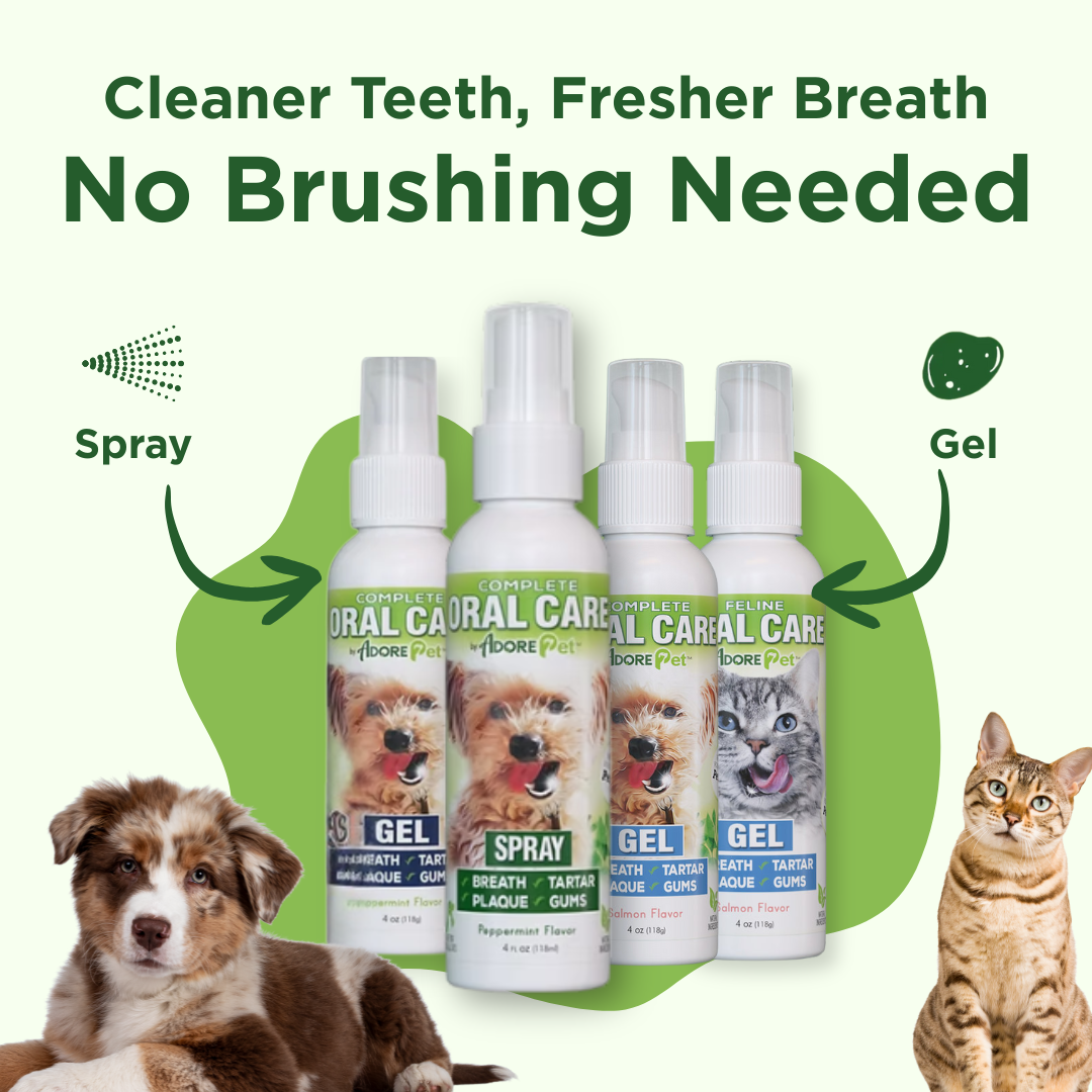 Natural Dog Oral Care Spray