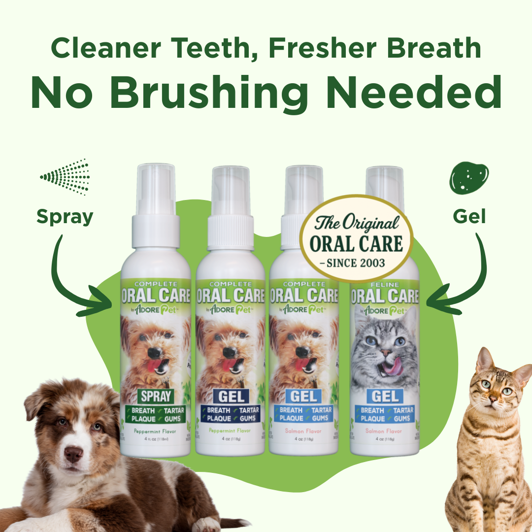 Natural Dog Oral Care Spray