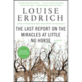 The Last Report on the Miracles at Little No Horse