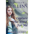 Capture The Wind For Me